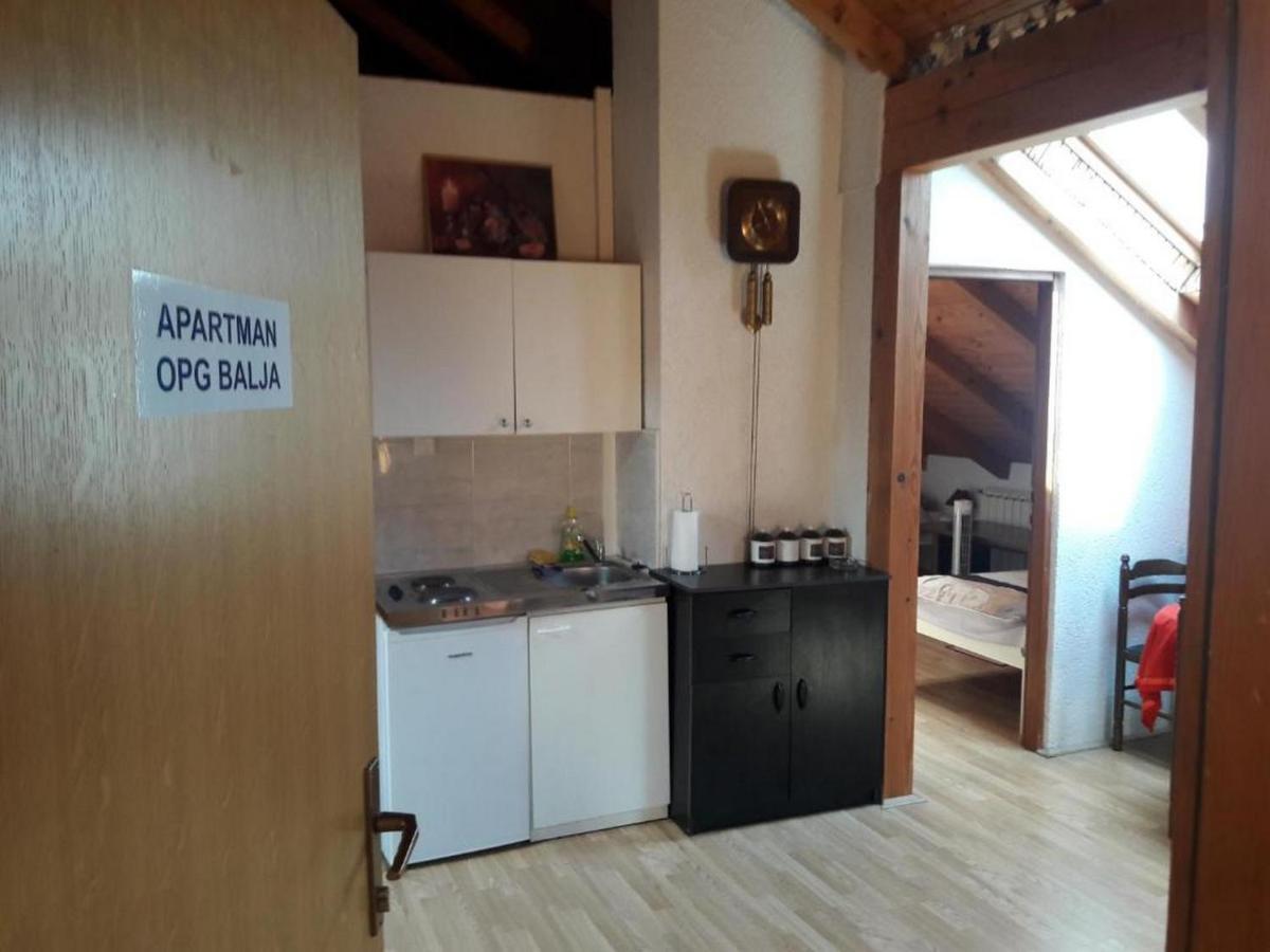 Apartman Opg Balja Garesnica Zewnętrze zdjęcie
